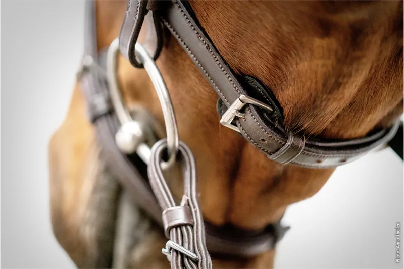 Schockemohle Cape Town Select Bridle Espresso-Silver 5 Schockemohle Cape Town Select Bridle Espresso-Silver - Image 3