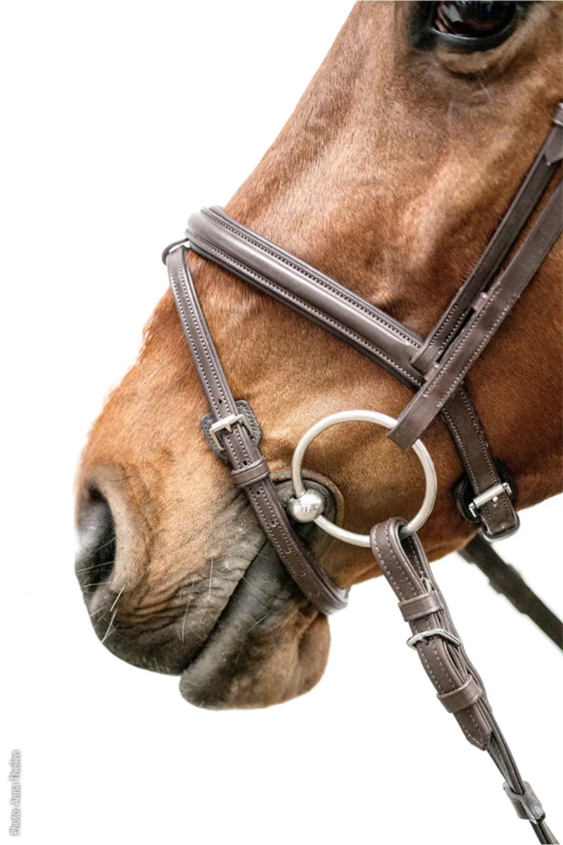 Schockemohle Cape Town Select Bridle Espresso-Silver 6 Schockemohle Cape Town Select Bridle Espresso-Silver - Image 4