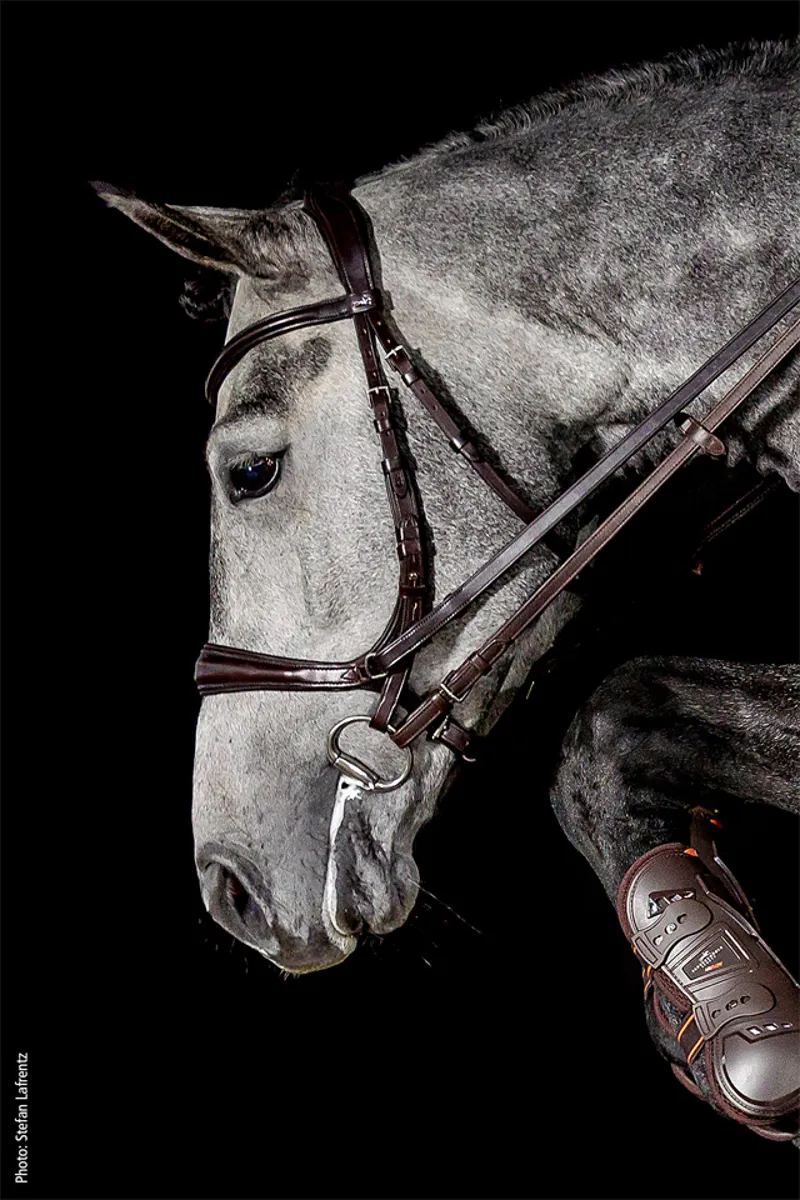 Schockemohle Equitus Theta Anatomical Bridle Espresso-Silver 4 Schockemohle Equitus Theta Anatomical Bridle Espresso-Silver - Image 2