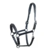 Schockemohle Ulm Headcollar Black-Silver -Equestrian Supplies Shop 128 1310 00011 Ulm black silver8kbunlxuxQTky
