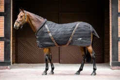 Schockemohle New Alltime 400g Stable Rug Graphite