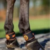 LeMieux Conductive Magno Pastern Wrap Black -Equestrian Supplies Shop 3n6a8483 copy