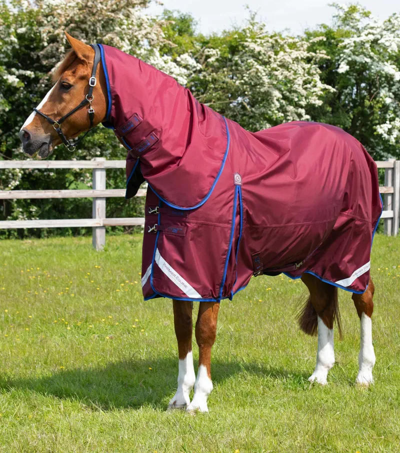 Premier Equine Buster 40g Turnout With Classic Neck Cover Burgundy 3 Premier Equine Buster 40g Turnout With Classic Neck Cover Burgundy