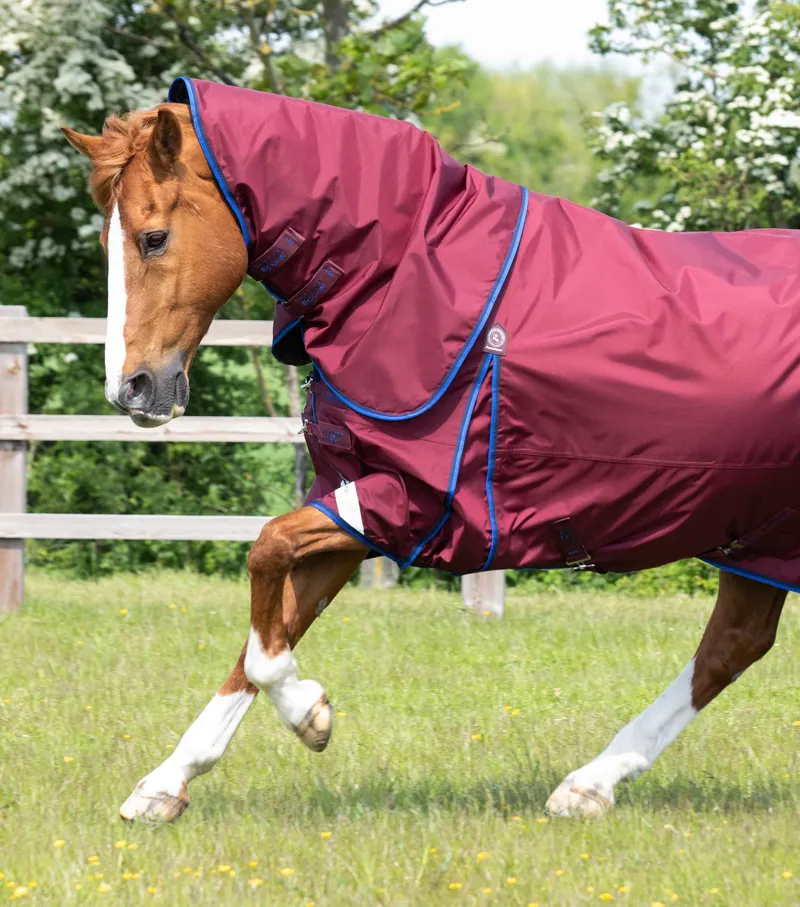 Premier Equine Buster 40g Turnout With Classic Neck Cover Burgundy 4 Premier Equine Buster 40g Turnout With Classic Neck Cover Burgundy - Image 2