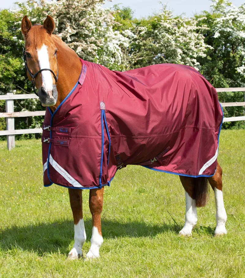 Premier Equine Buster 40g Turnout With Classic Neck Cover Burgundy 5 Premier Equine Buster 40g Turnout With Classic Neck Cover Burgundy - Image 3