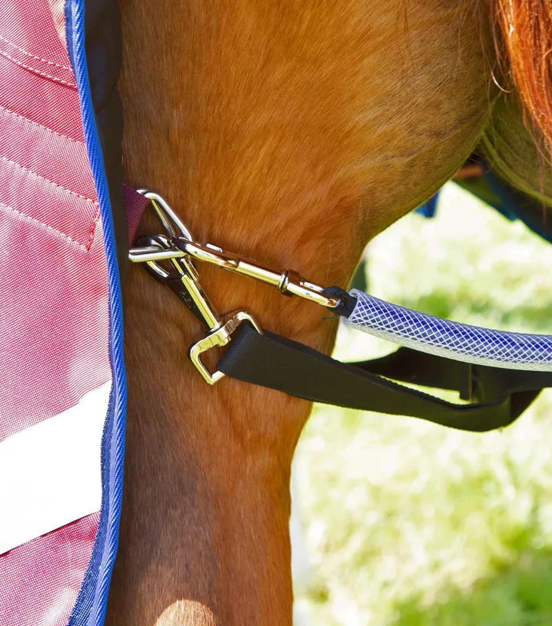 Premier Equine Buster 40g Turnout With Classic Neck Cover Burgundy 8 Premier Equine Buster 40g Turnout With Classic Neck Cover Burgundy - Image 6