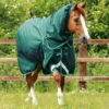 Premier Equine Buster 200g Turnout Rug With Snug-Fit Neck Cover Green -Equestrian Supplies Shop Buster 200 Turnout Rug Green 1