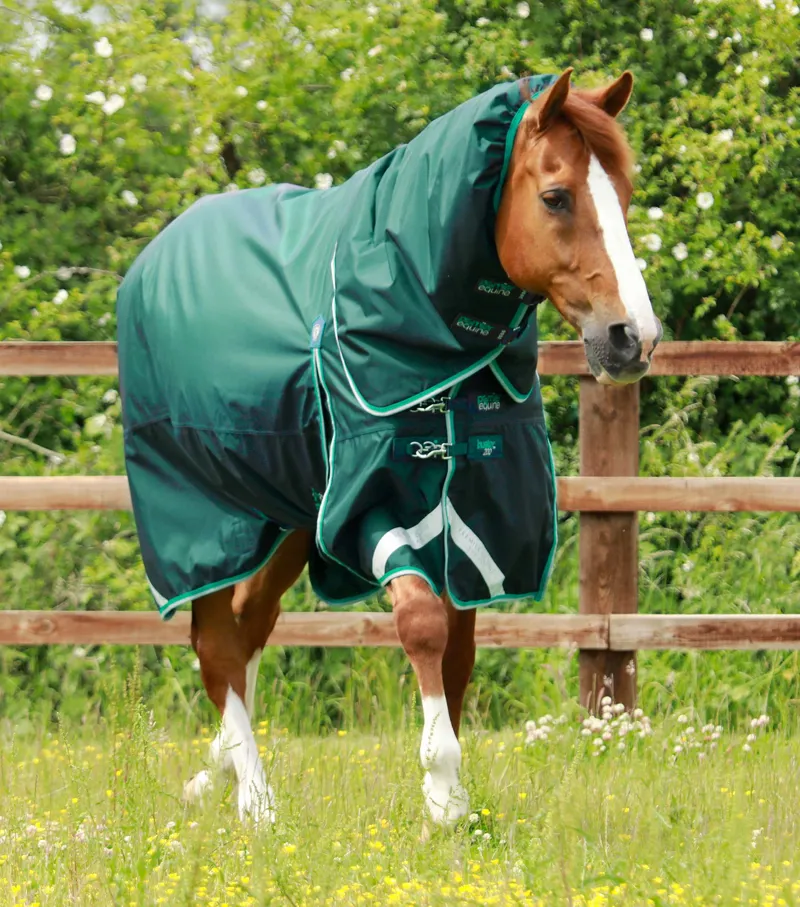Premier Equine Buster 200g Turnout Rug With Snug-Fit Neck Cover Green 3 Premier Equine Buster 200g Turnout Rug With Snug-Fit Neck Cover Green