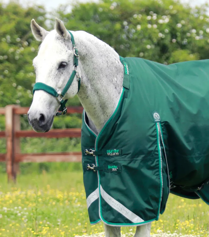 Premier Equine Buster 200g Turnout Rug With Snug-Fit Neck Cover Green 4 Premier Equine Buster 200g Turnout Rug With Snug-Fit Neck Cover Green - Image 2