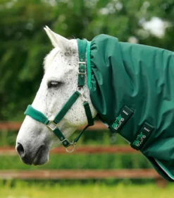 Premier Equine Buster 200g Turnout Rug With Snug-Fit Neck Cover Green 10 Premier Equine Buster 200g Turnout Rug With Snug-Fit Neck Cover Green -Equestrian Supplies Shop Buster 200 Turnout Rug Green 3