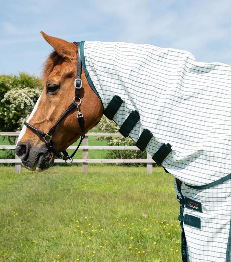 Premier Equine Combo Cotton Sheet Green Check 4 Premier Equine Combo Cotton Sheet Green Check - Image 2