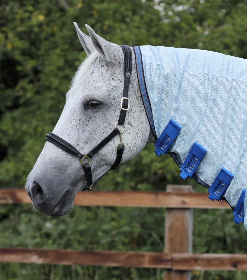 Premier Equine Combo Mesh Air Fly Rug With Surcingles Blue 4 Premier Equine Combo Mesh Air Fly Rug With Surcingles Blue - Image 2