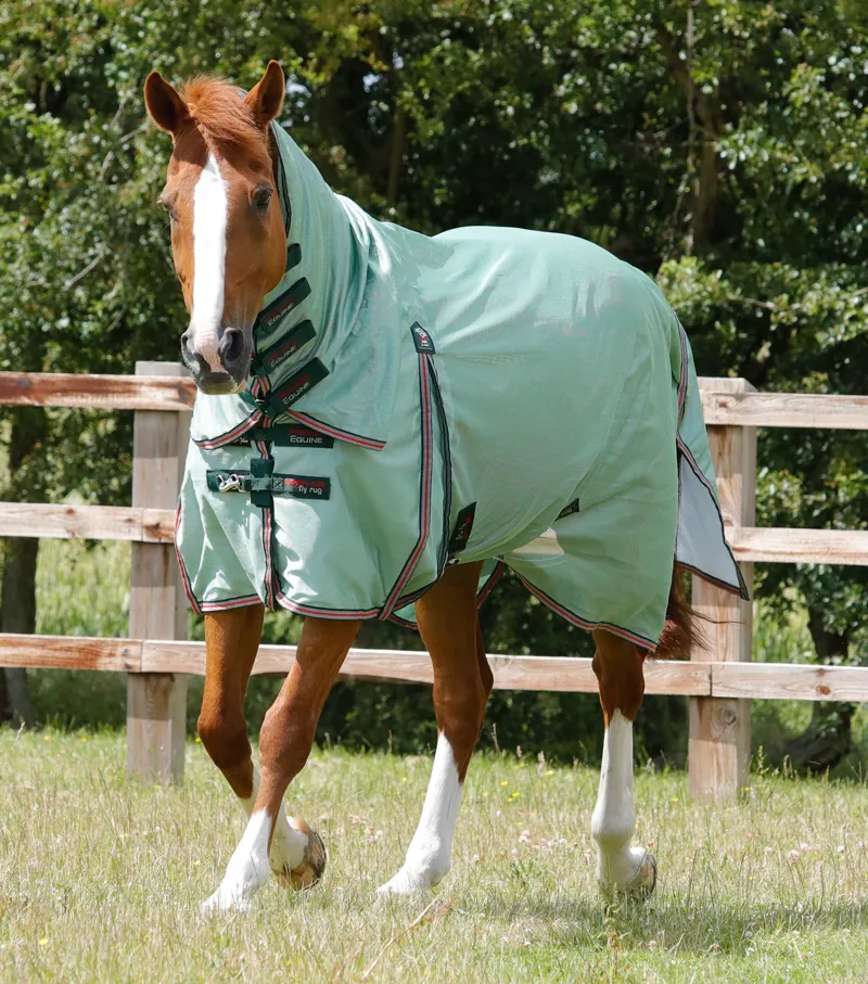 Premier Equine Combo Mesh Air Fly Rug With Surcingles Mint Green 3 Premier Equine Combo Mesh Air Fly Rug With Surcingles Mint Green