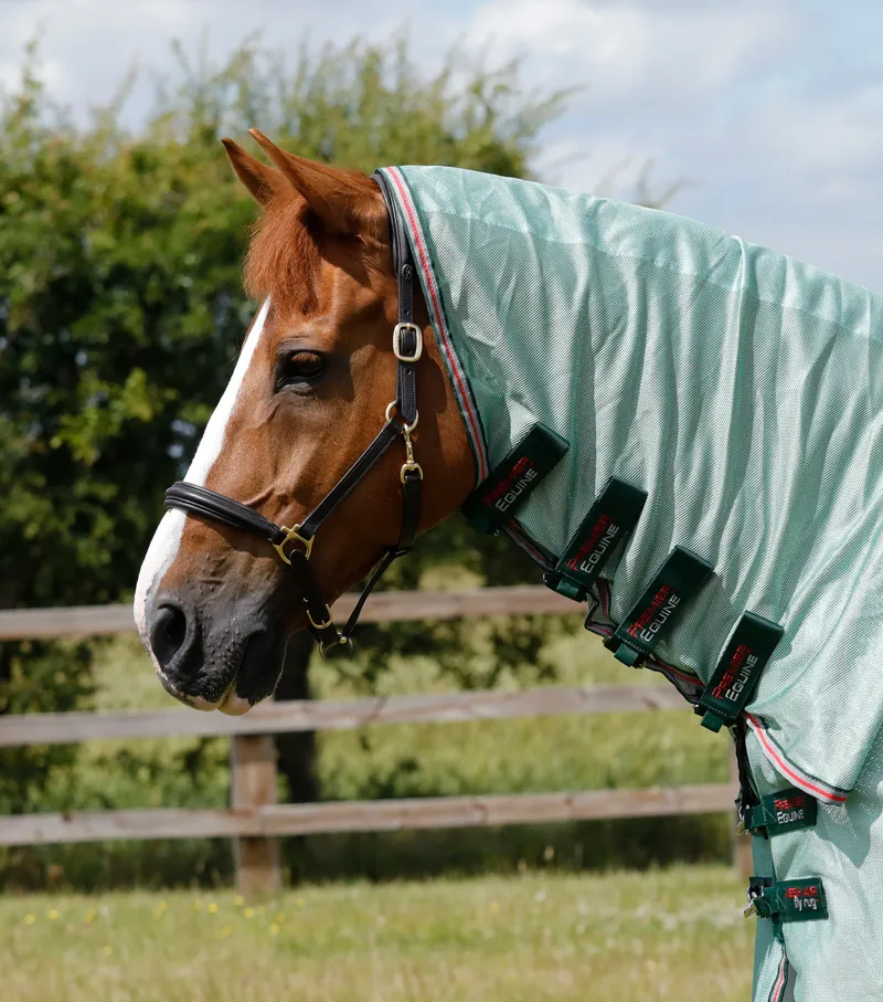 Premier Equine Combo Mesh Air Fly Rug With Surcingles Mint Green 4 Premier Equine Combo Mesh Air Fly Rug With Surcingles Mint Green - Image 2