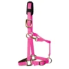 KM Elite Padded Headcollar In Hot Pink