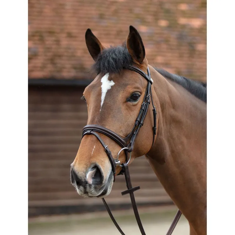 Mark Todd Performance Flash Bridle In Havana 3 Mark Todd Performance Flash Bridle In Havana