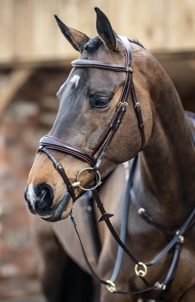 LeMieux Kudos Competition Flash Bridle Havana 13 LeMieux Kudos Competition Flash Bridle Havana - Image 11