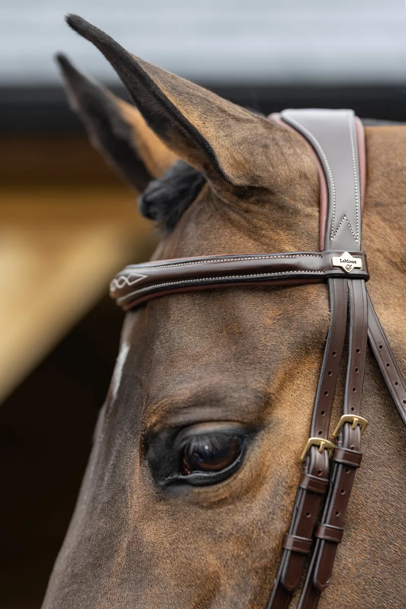 LeMieux Kudos Competition Flash Bridle Havana 10 LeMieux Kudos Competition Flash Bridle Havana - Image 8