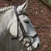 GFS Harmony Bridle With Rubber Grip Reins - Brown 2 GFS Harmony Bridle With Rubber Grip Reins - Brown -Equestrian Supplies Shop GFS Harmony Bridle with Rubber Grip Reins 2