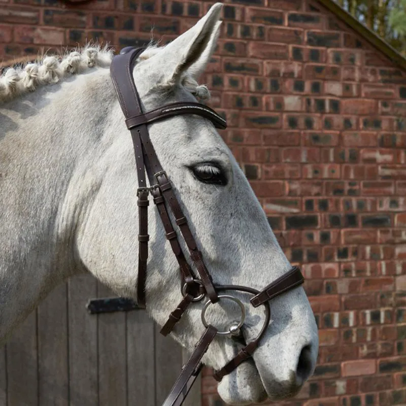 GFS Harmony Bridle With Rubber Grip Reins - Brown 3 GFS Harmony Bridle With Rubber Grip Reins - Brown