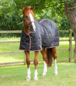 Premier Equine Garissa Stable Rug 100g Black