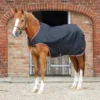 Premier Equine Horse Walker 100g Rug Black -Equestrian Supplies Shop Horse Walker Rug 100 Black 1