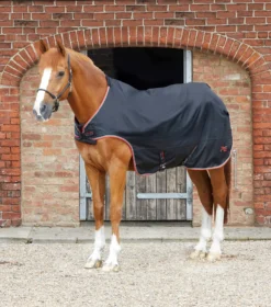 Premier Equine Horse Walker 100g Rug Black