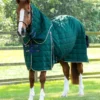 Premier Equine Lucanta 200g Stable Rug With Neck Cover Green -Equestrian Supplies Shop Lucanta Stable Green Image 1 RGB