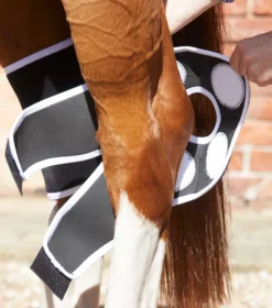 Premier Equine Magni-Teque Magnetic Hock Boots Black -Equestrian Supplies Shop Magni Teque Magnet Hock Boots 3