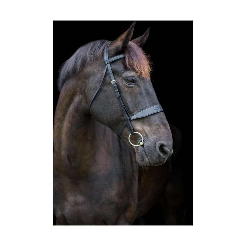 EcoRider Classic Show Bridle - Black 4 EcoRider Classic Show Bridle - Black - Image 2