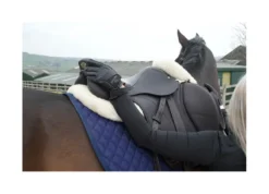 Cameo Competition Riding Glove Olive -Equestrian Supplies Shop P COMP GLOVE C423 04