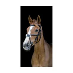 Cameo Anatomic Grackle Bridle With Sure Grip Reins Black