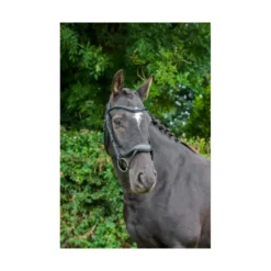 EcoRider Ecosoft Enigma Bridle - Black 15 EcoRider Ecosoft Enigma Bridle - Black -Equestrian Supplies Shop P ECO ENI BRI ECO601 015