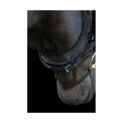 EcoRider Ecosoft Enigma Bridle - Brown 12 EcoRider Ecosoft Enigma Bridle - Brown -Equestrian Supplies Shop P ECO ENI BRI ECO601 04 2