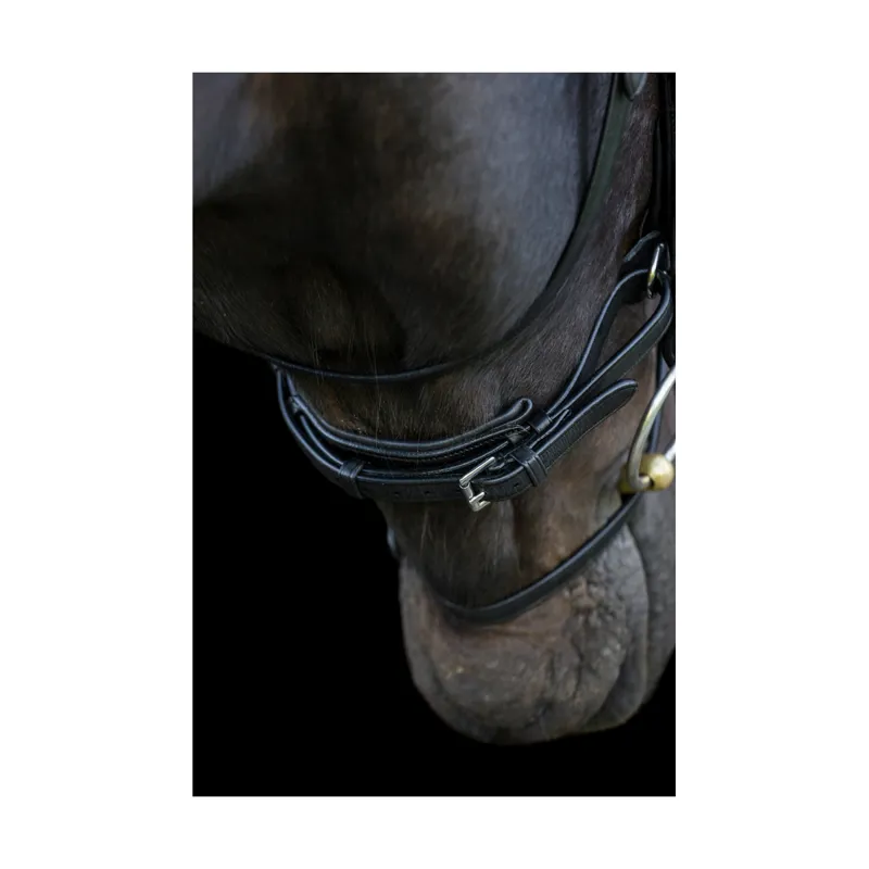 EcoRider Ecosoft Enigma Bridle - Black 7 EcoRider Ecosoft Enigma Bridle - Black - Image 5