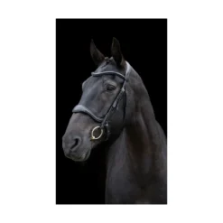 EcoRider Ecosoft Enigma Bridle - Black 21 EcoRider Ecosoft Enigma Bridle - Black -Equestrian Supplies Shop P ECO ENI BRI ECO601 06