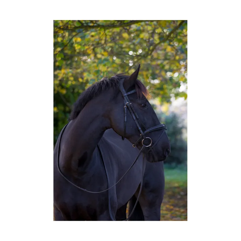 EcoRider Ecosoft Luxe Bridle - Brown 3 EcoRider Ecosoft Luxe Bridle - Brown