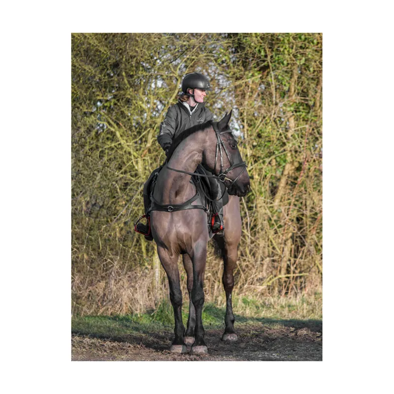 EcoRider Freedom Breastplate - Black 4 EcoRider Freedom Breastplate - Black - Image 2