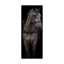 EcoRider Freedom Breastplate - Black 10 EcoRider Freedom Breastplate - Black -Equestrian Supplies Shop P FRE BRE eco012 04