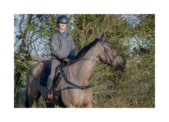 EcoRider Freedom Breastplate - Black 12 EcoRider Freedom Breastplate - Black -Equestrian Supplies Shop P FRE BRE eco012 06