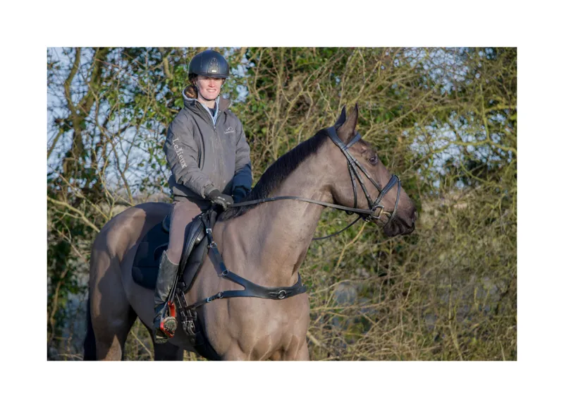 EcoRider Freedom Breastplate - Black 7 EcoRider Freedom Breastplate - Black - Image 5