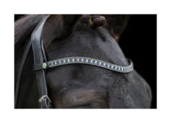 EcoRider Freedom Sapphire Browband - Black