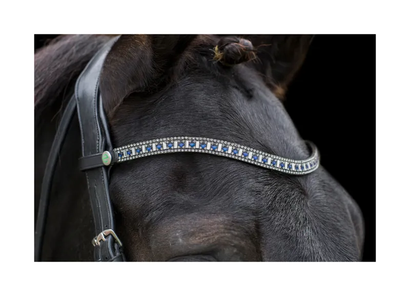 EcoRider Freedom Sapphire Browband - Black 3 EcoRider Freedom Sapphire Browband - Black