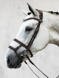 PS Of Sweden Paris Limited Edition Bridle Black -Equestrian Supplies Shop PS of Sweden Paris Limited Edition Bridle 3