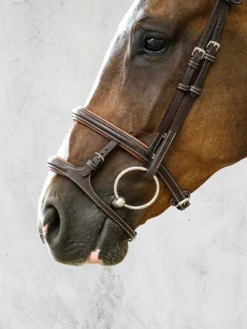 PS Of Sweden Paris Limited Edition Bridle Black -Equestrian Supplies Shop PS of Sweden Paris Limited Edition Bridle 5