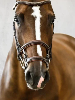 PS Of Sweden Paris Limited Edition Bridle Black -Equestrian Supplies Shop PS of Sweden Paris Limited Edition Bridle 7