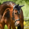 PS Of Sweden Pioneer Drop Noseband Bridle Black 2 PS Of Sweden Pioneer Drop Noseband Bridle Black -Equestrian Supplies Shop Pioneer3