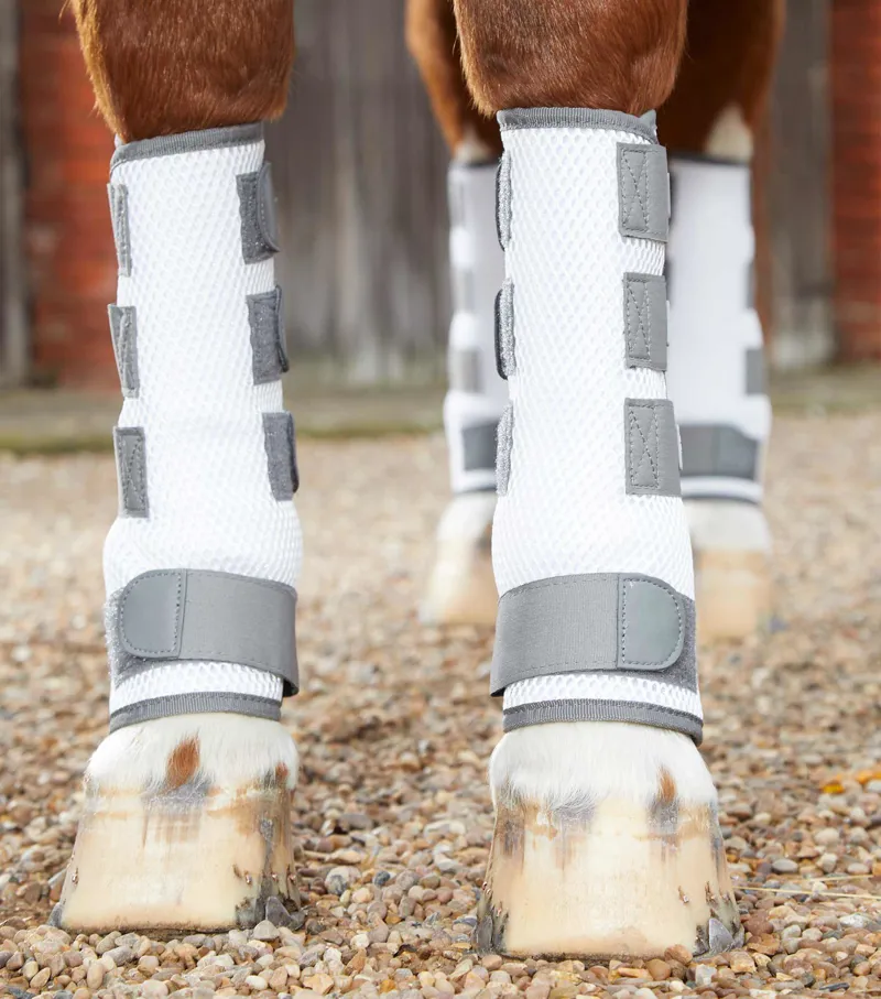 Premier Equine Pro-Tech Bug And Fly Boots White 4 Premier Equine Pro-Tech Bug And Fly Boots White - Image 2