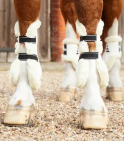 Premier Equine Techno Wool Tendon Boots White -Equestrian Supplies Shop Techno Wool Tendon Boot White 2