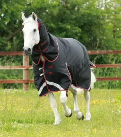 Premier Equine Titan 100g Turnout Rug With Snug-Fit Neck Cover Black